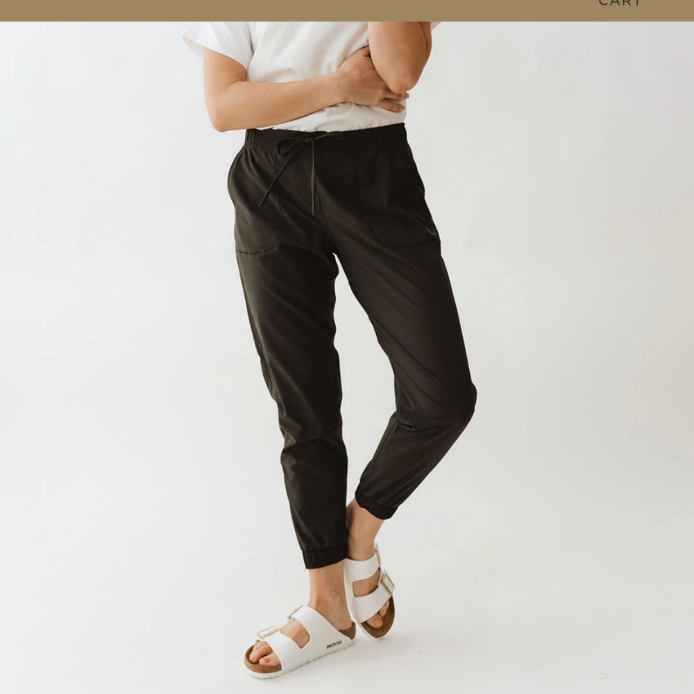 Albion jetsetter pant